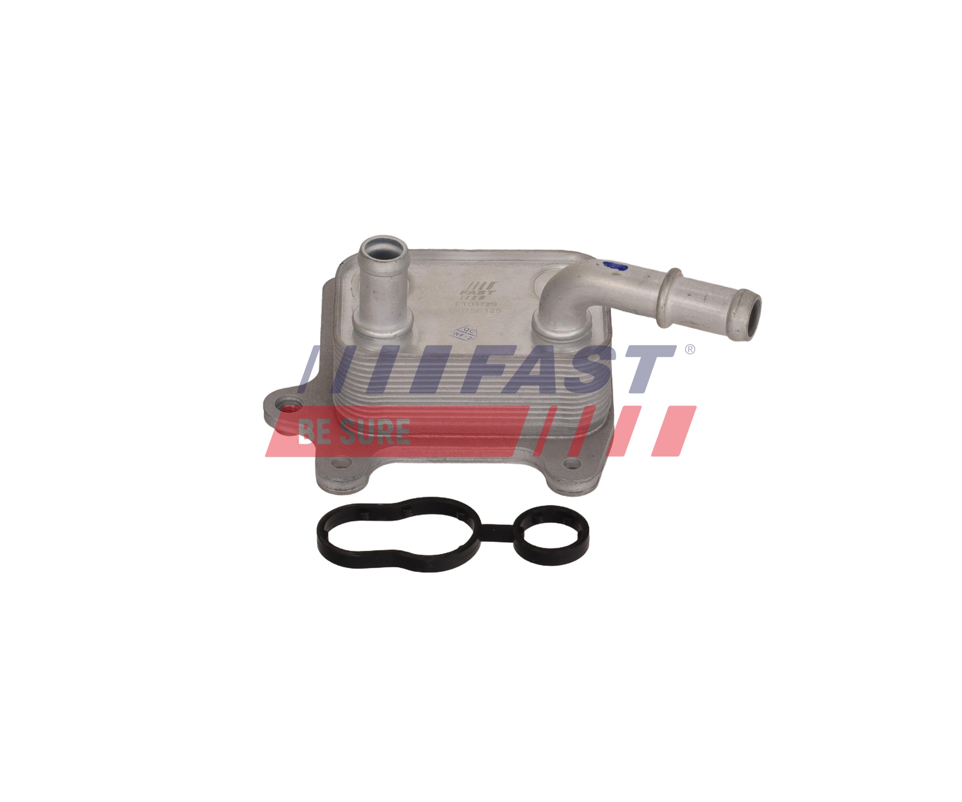 Ilustracja FT04729 FAST chłodnica oleju, olej silnikowy