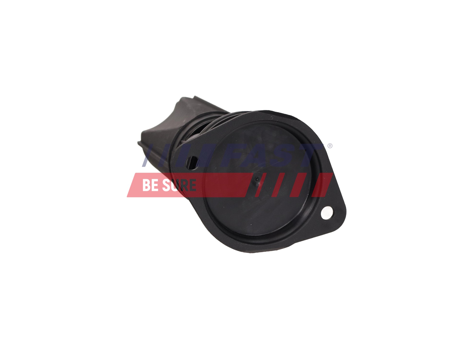 Ilustracja FT04288 FAST zawór, odpowietrzanie skrzyni korbowej