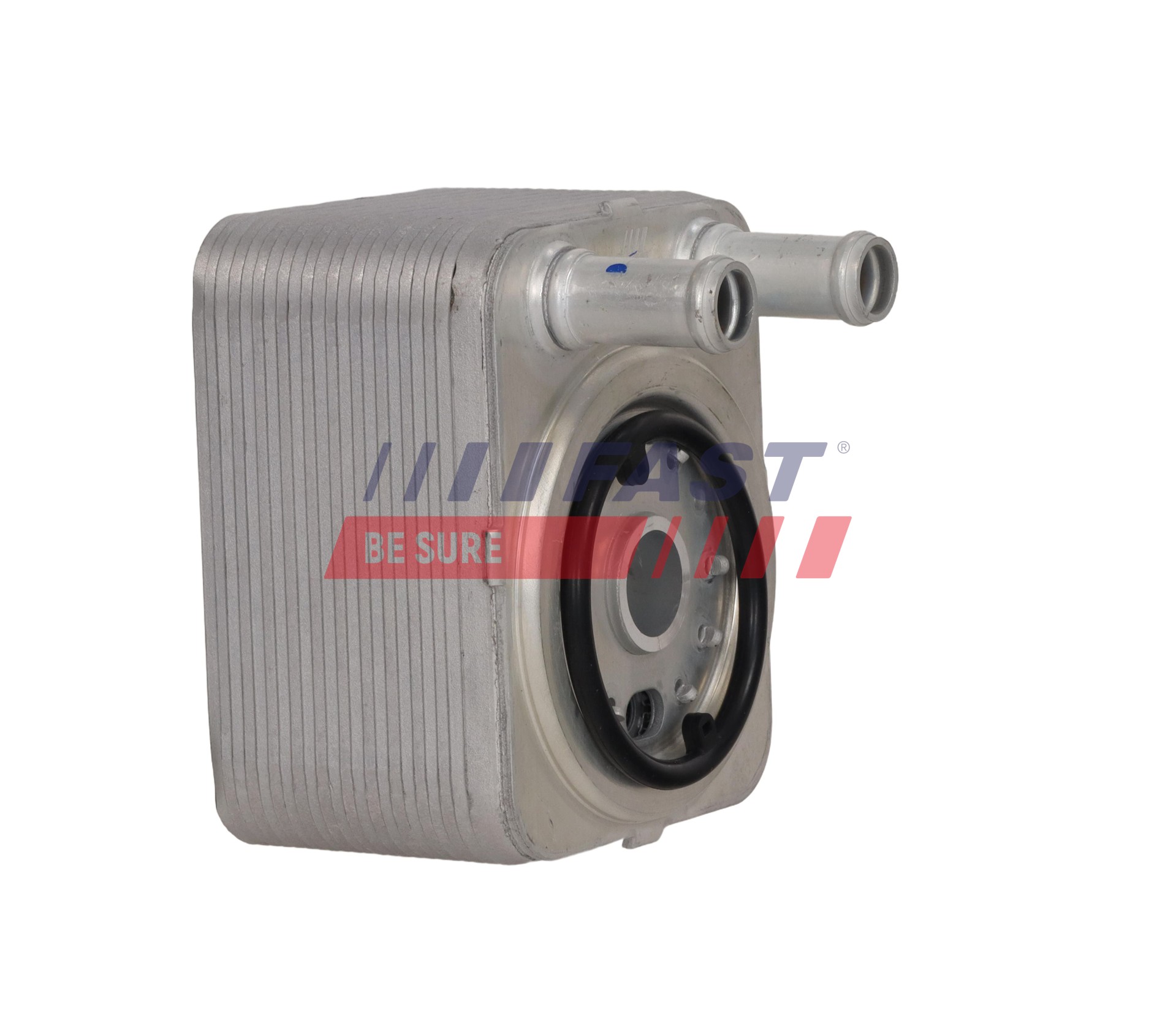 Ilustracja FT11975 FAST chłodnica oleju, olej silnikowy