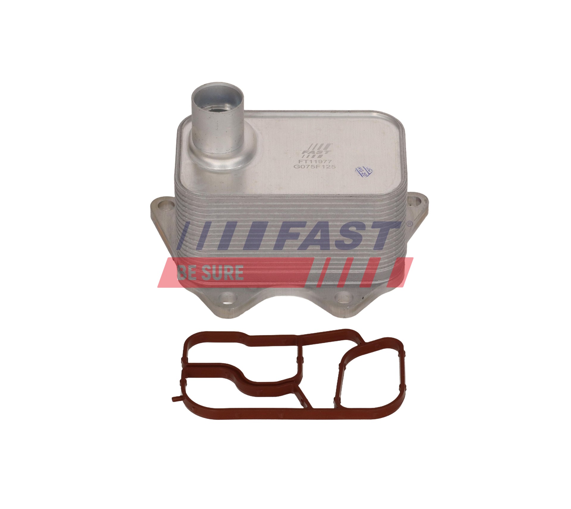 Ilustracja FT11977 FAST chłodnica oleju, olej silnikowy