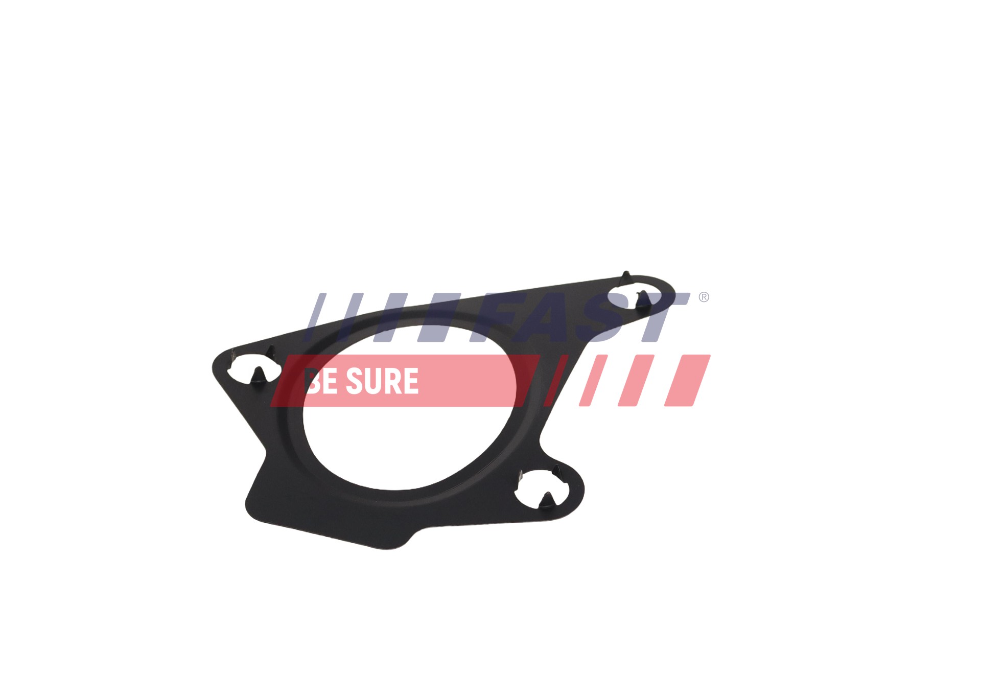 Ilustracja FT13429 FAST uszczelka, kolektor dolotowy