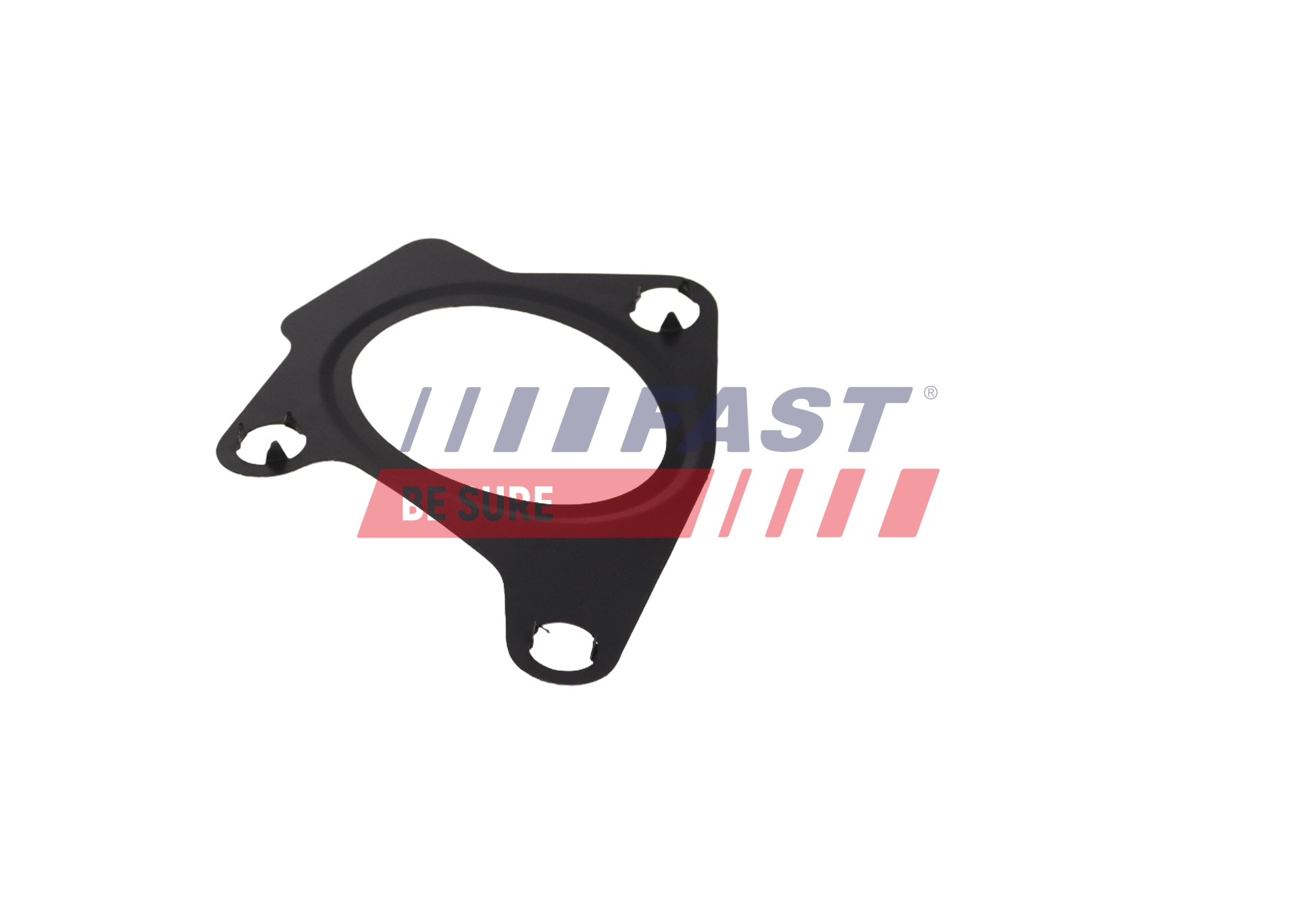 Ilustracja FT13429 FAST uszczelka, kolektor dolotowy