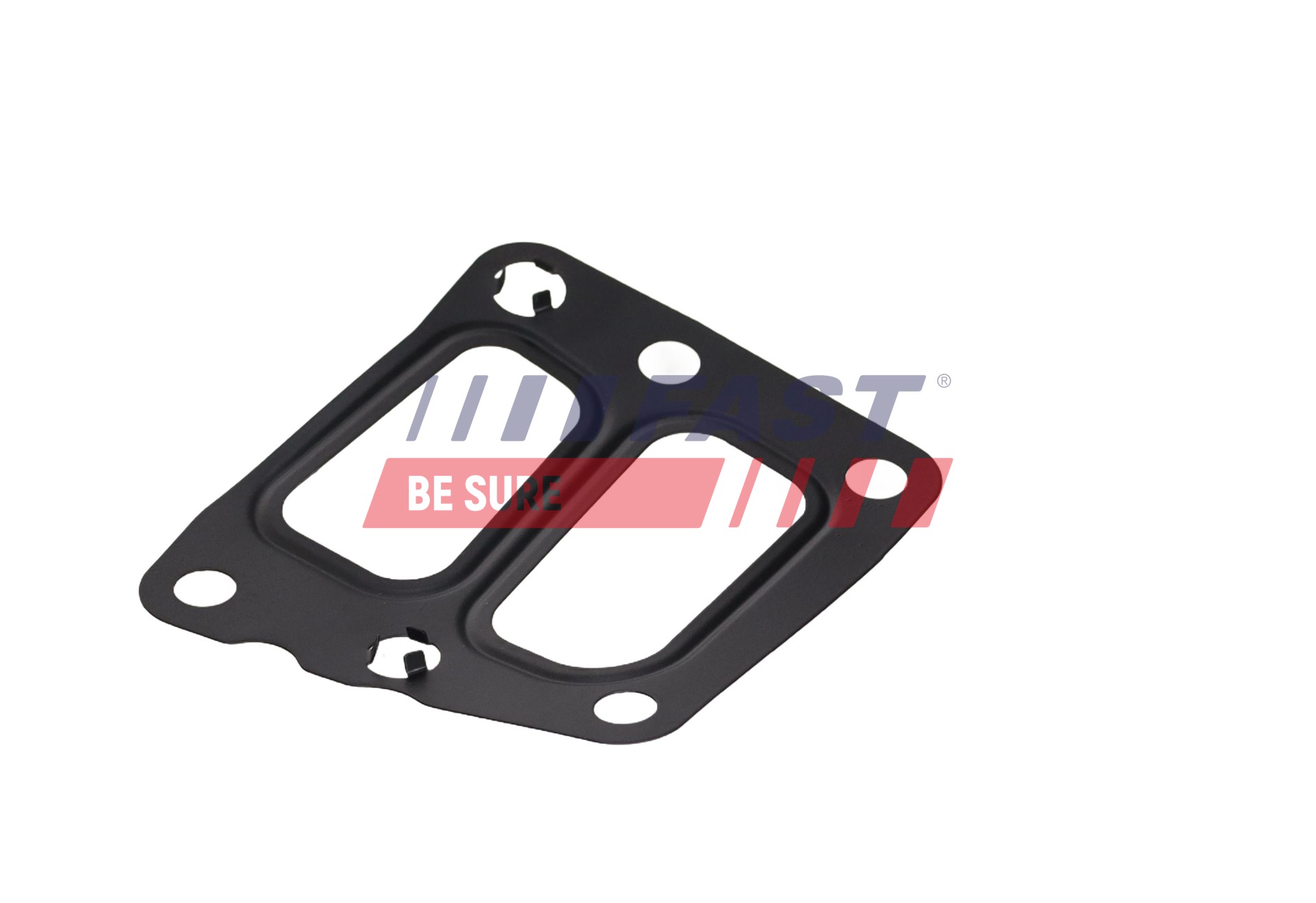 Ilustracja FT13431 FAST uszczelnienie, zawór AGR