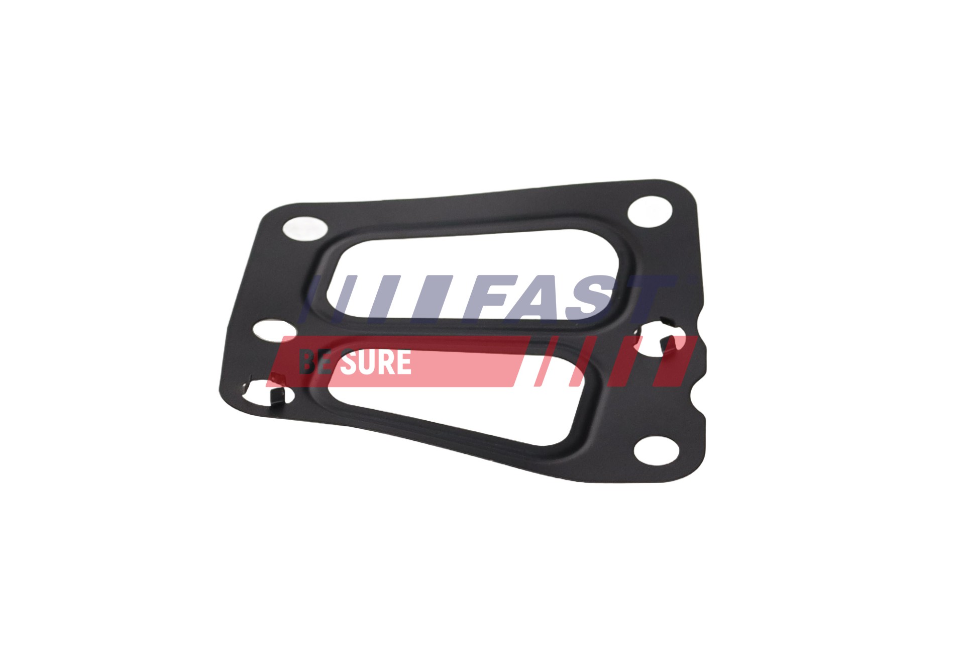 Ilustracja FT13431 FAST uszczelnienie, zawór AGR