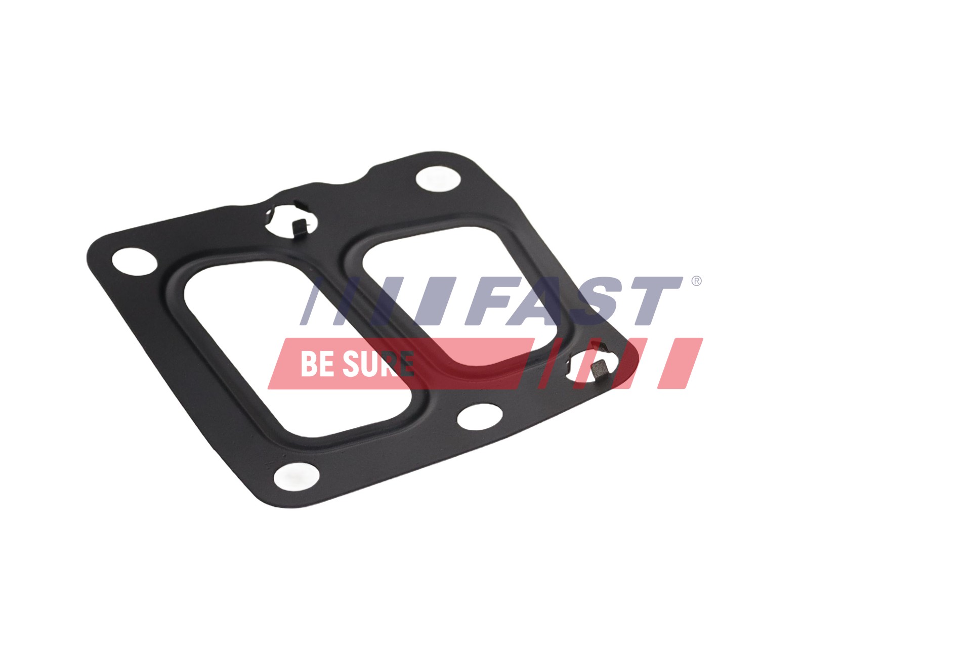 Ilustracja FT13431 FAST uszczelnienie, zawór AGR