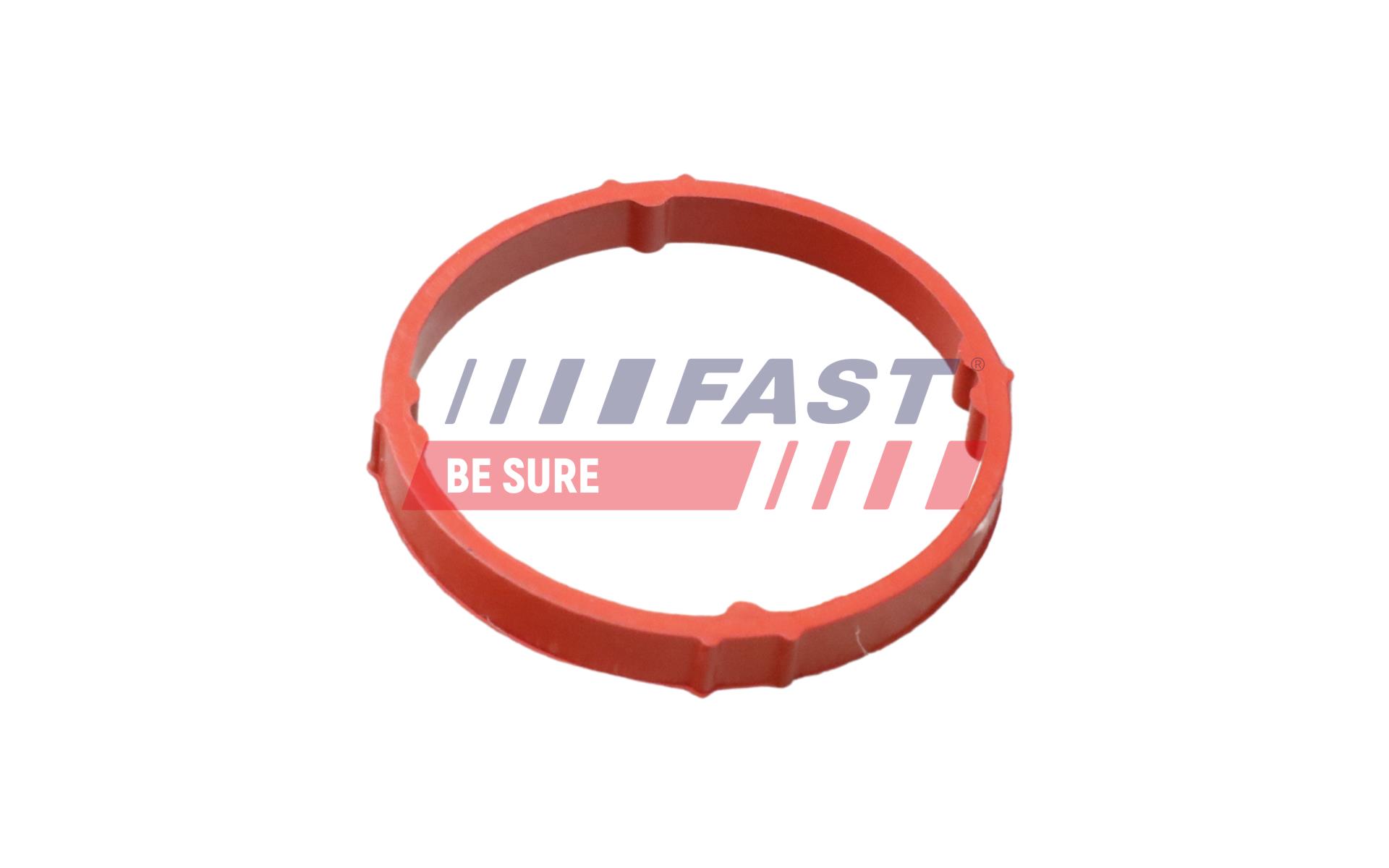 Ilustracja FT48958 FAST pierścień uszczelniający