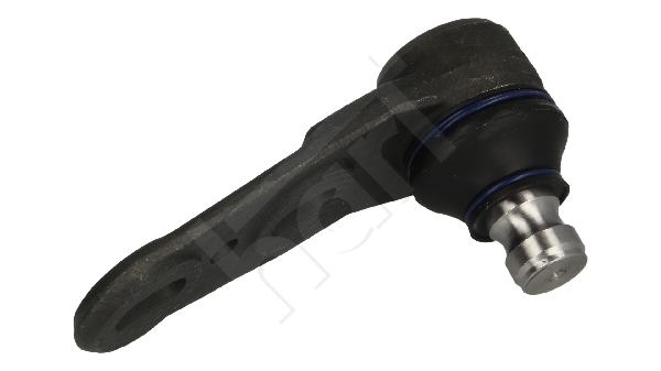 Ilustracja 420 469 HART sworzeń wahacza