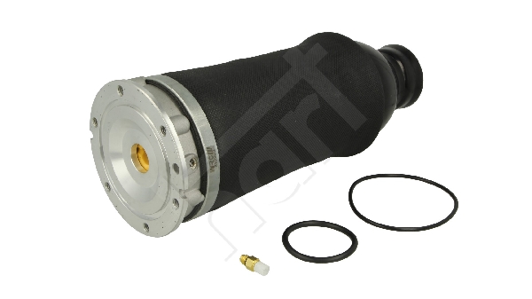 Ilustracja 813 008 HART poduszka powietrzna, zawieszenie