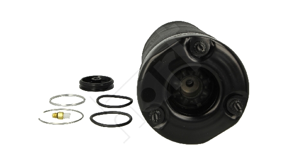 Ilustracja 813 683 HART poduszka powietrzna, zawieszenie