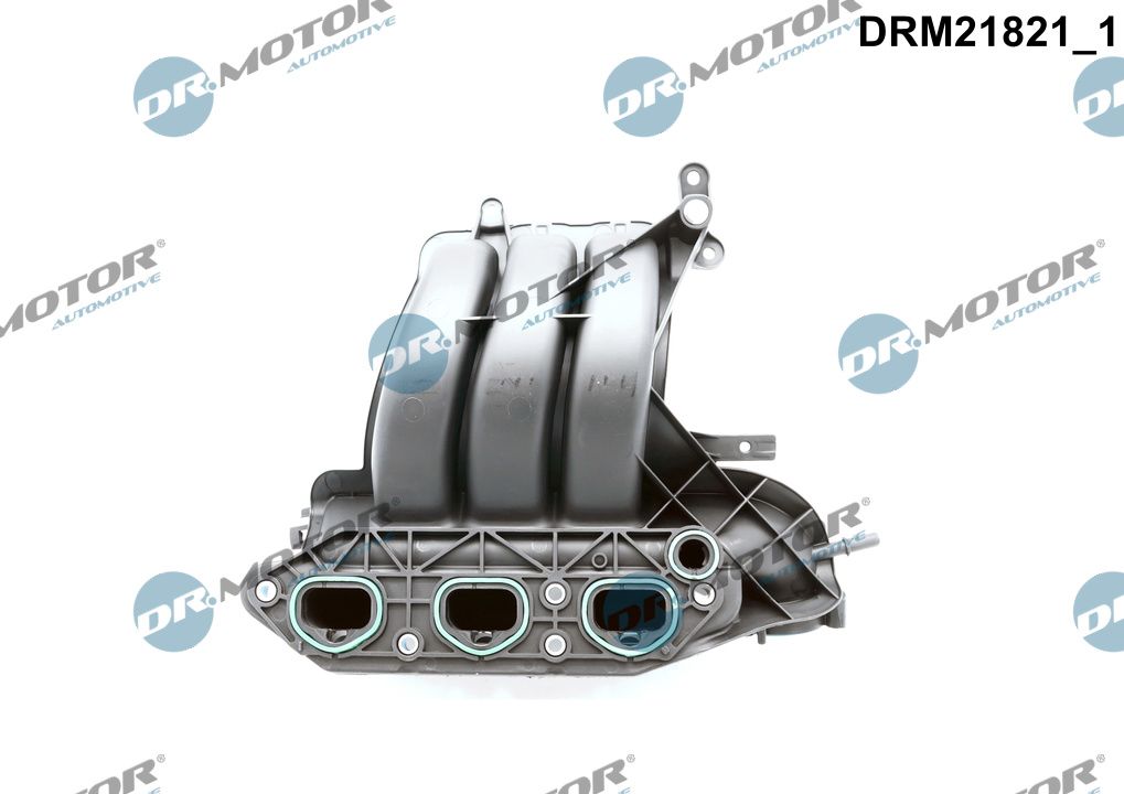 Ilustracja DRM21821 DR.MOTOR AUTOMOTIVE moduł rury wlotowej