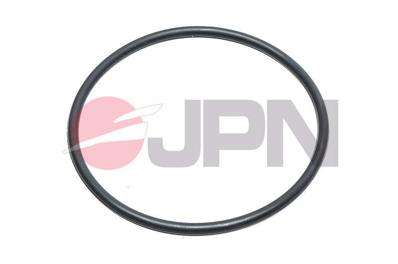 Ilustracja 20M0007-JPN JPN uszczelka, pompa paliwowa